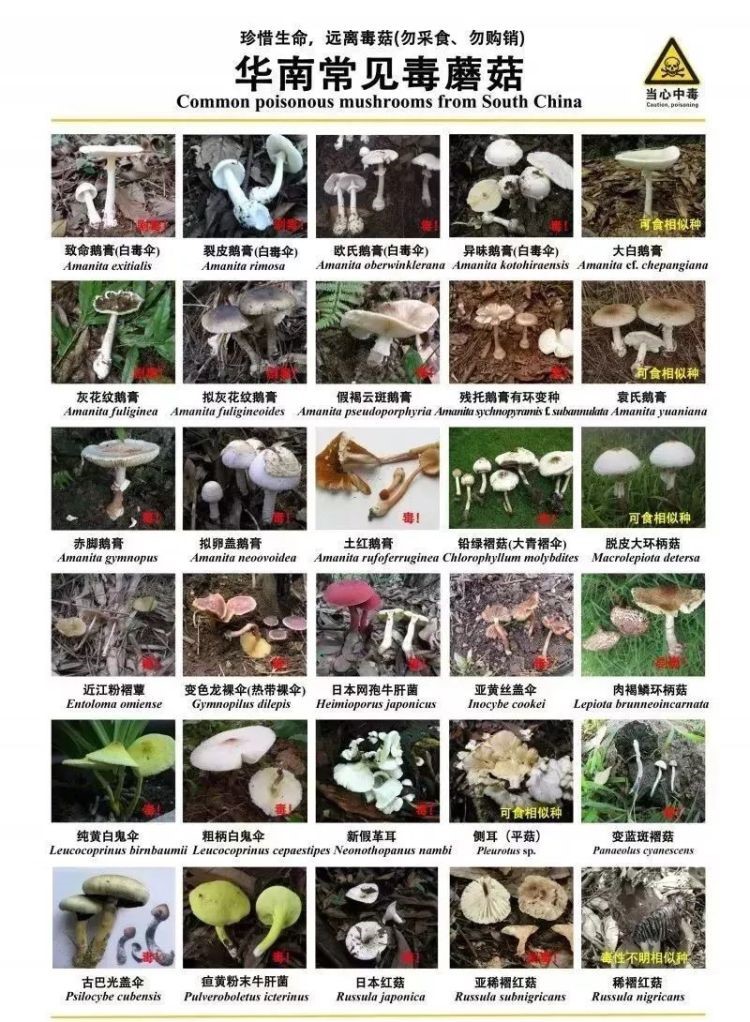 2.jpg W020210111379073992380.jpg