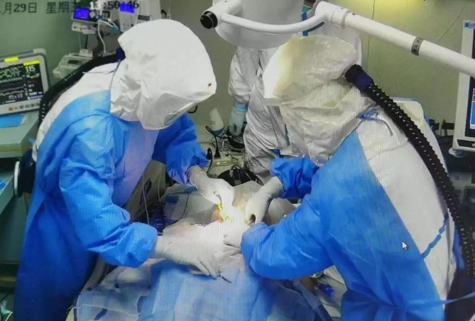 image.png W020210111402593674400.png