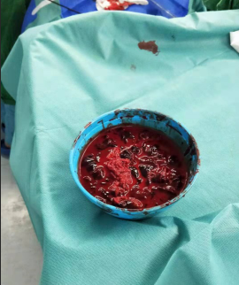 2.png W020210111435077146958.png